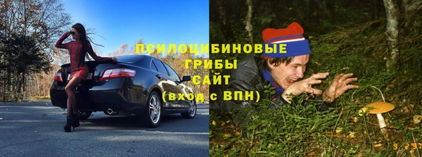дживик Вяземский
